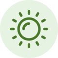 Icon 1